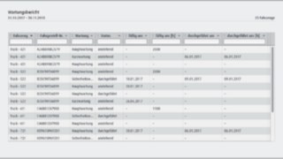 Maintenance report of the fleet management software from Linde Material Handling