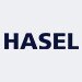 HASEL İstif Makinalari San. ve Tic. A.S. HASEL İstif Makinalari San. ve Tic. A.S.