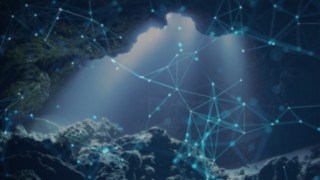 Network Network